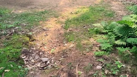 Overflow Sites — image 2 of 7