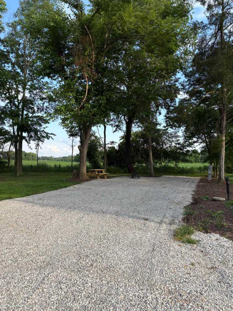 Park Image 6