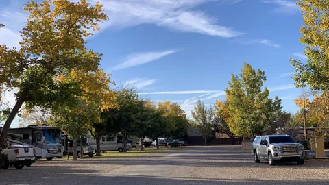 Economy Van only — image 1 of 7