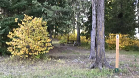 Primitive Tent Site — image 9 of 9