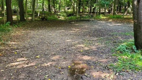 SBL Site 059 - Unserviced (T) — image 1 of 2