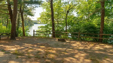 Premiere Peninsula Tent Site — image 1 of 1