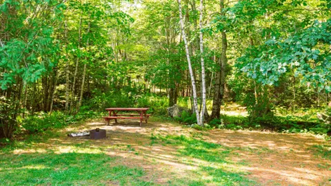 Moose Track Tent Site — image 1 of 2