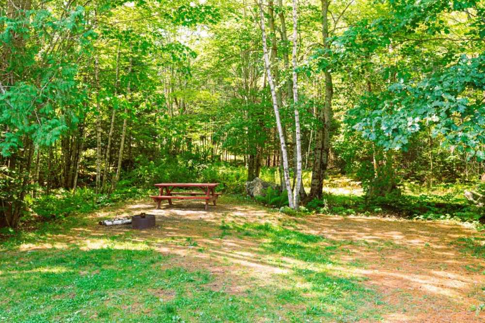 Cold River Campground Eddington, Maine Campspot