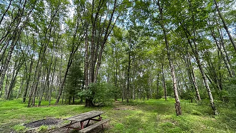 Rustic Tent Site — image 1 of 5