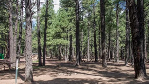 No Hookup RV Site — image 2 of 3