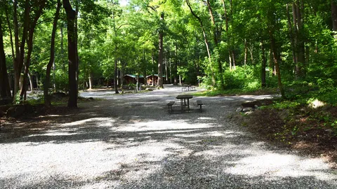 Woodland Premium Pull-Thru RV Site — image 2 of 6