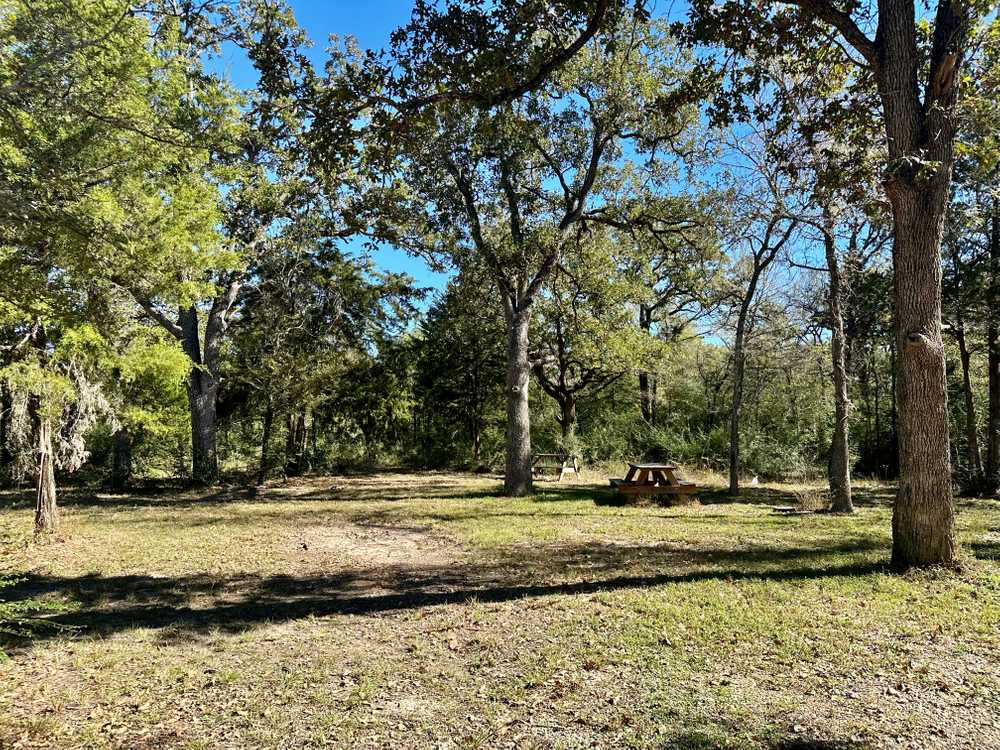 Jones Road RV Park, Bryan, Texas - Photo 3