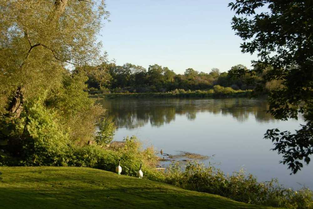 Bloom Resorts Cayuga - Photo 4