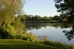 Bloom Resorts Cayuga – photo 4