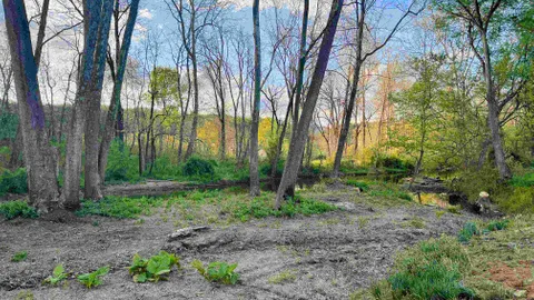 30/50Amp W/E Back-In Site Water Front — image 2 of 5