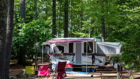 Premium Back-In RV Site — image 1 of 5
