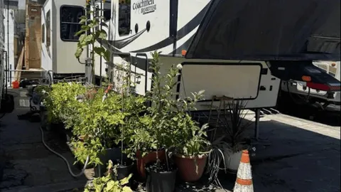 30/50AMP FULL HOOKUP RV SITE — image 1 of 8