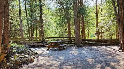 Campsite - Unserviced — image 2 of 4