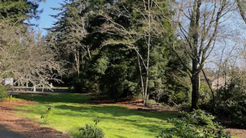 Tent Site — image 6 of 6