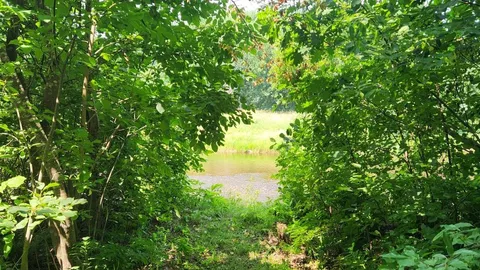 The Glades Wilderness Group Tenting — image 2 of 2