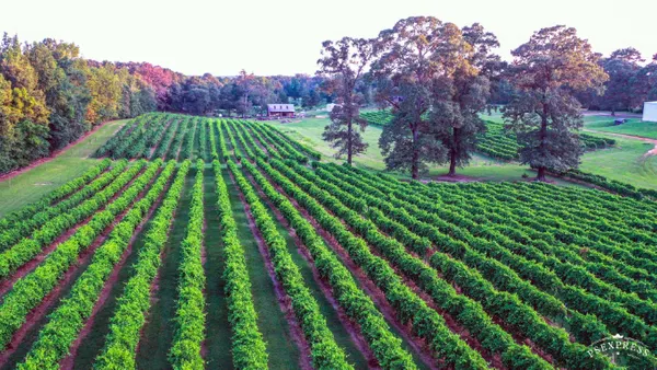Landry Vineyards Cottages & RV Sites, West Monroe, Louisiana campground