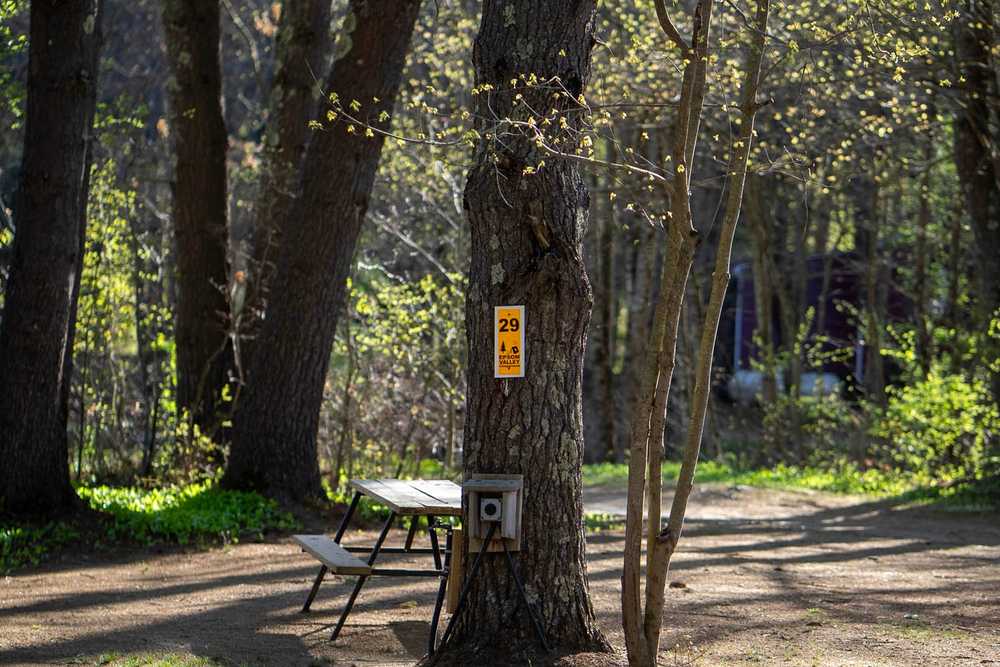 Epsom Valley Campground - Epsom, NH - Photo 3