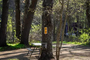 Epsom Valley Campground – photo 3