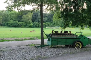 Dallas County Fairgrounds Campground – photo 3