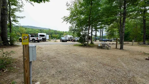 Premium Pull-Thru RV Site — image 1 of 5