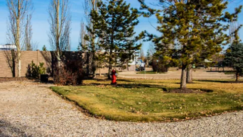 Premium Back-In RV Site — image 2 of 10