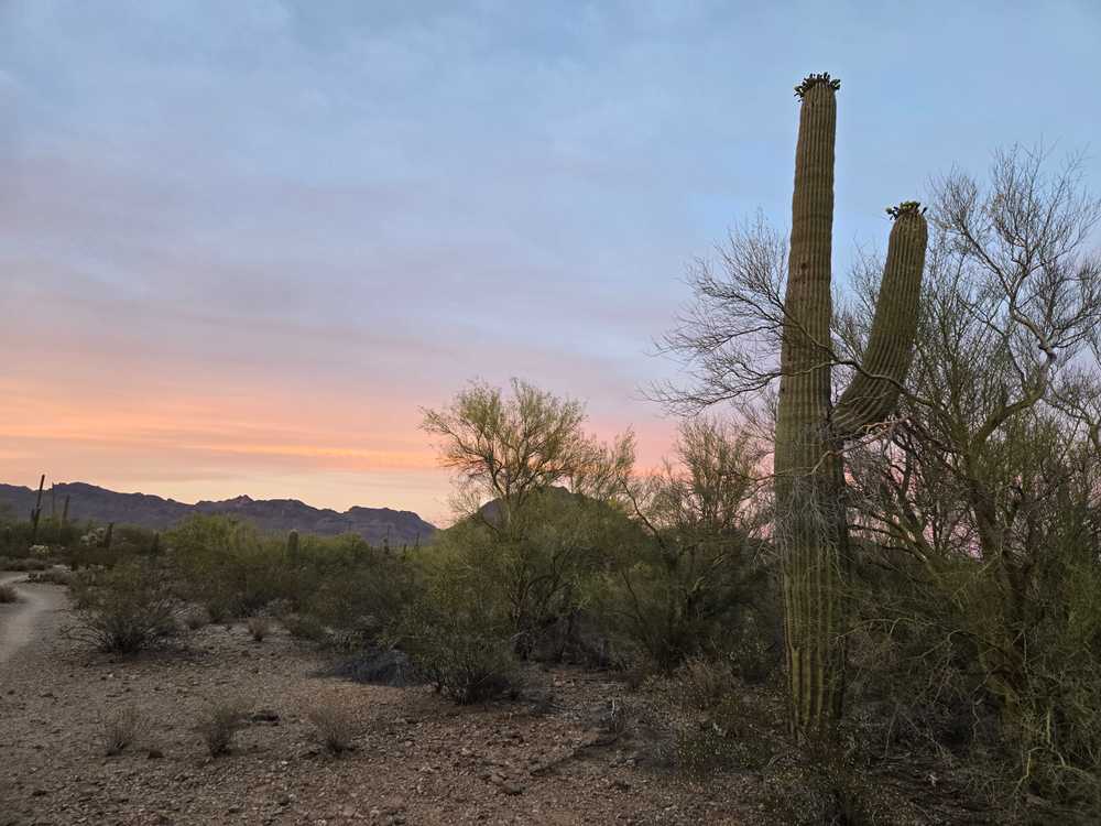 Park Image 14