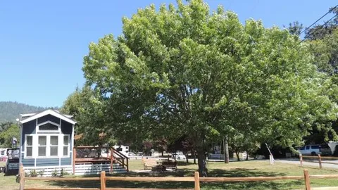 Ranch House — image 1 of 11