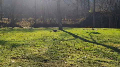 Tent Site - Trout Stream — image 1 of 2