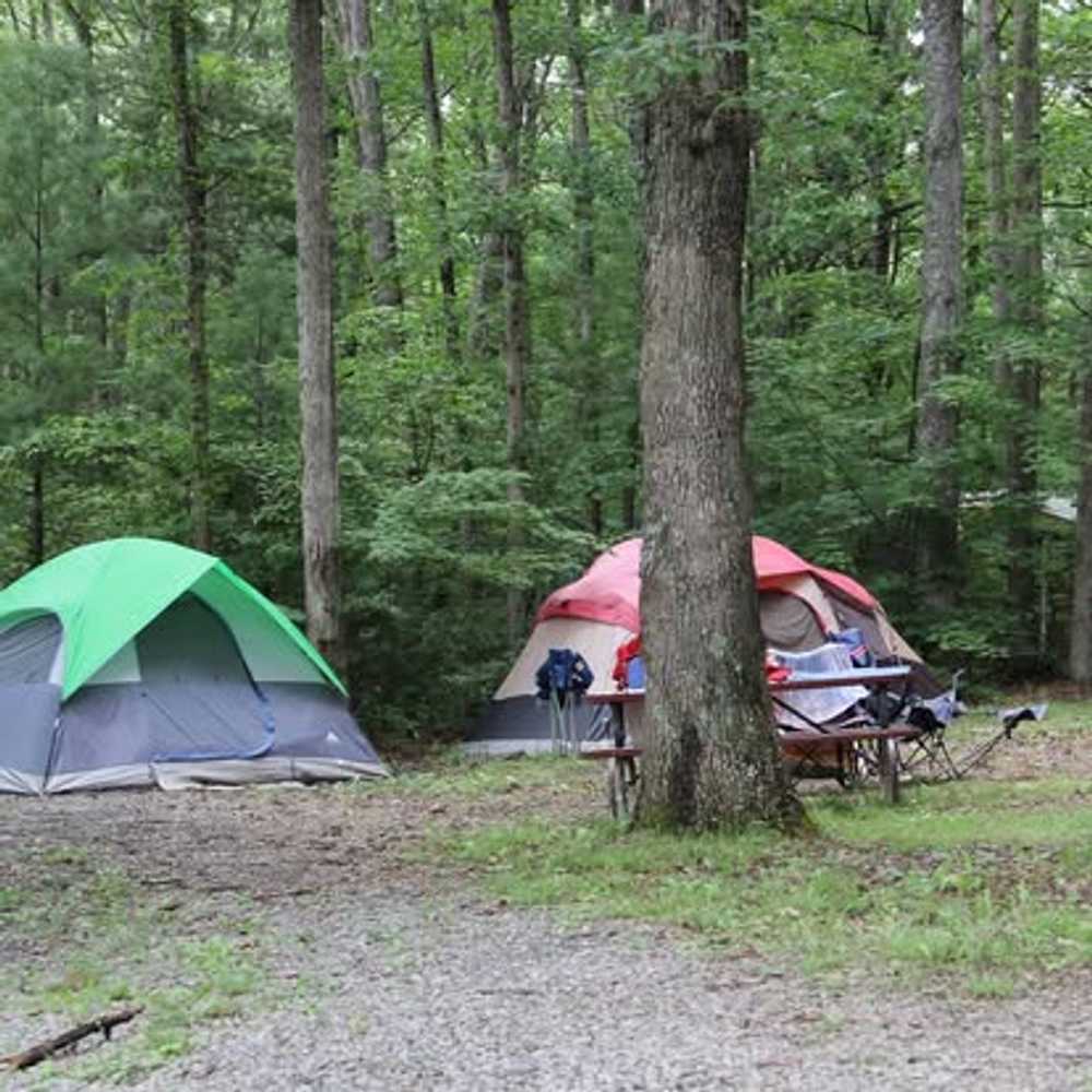 Rural Retreat Campground, Rural Retreat, Virginia - Photo 3