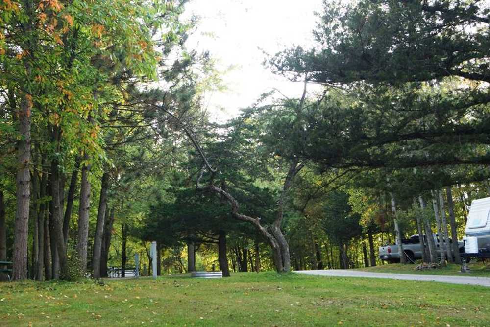 Gladwin City Park and Campground Gladwin, Michigan Campspot