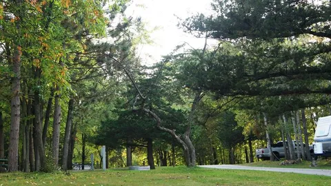 W/E/S Tent/RV Site — image 1 of 2
