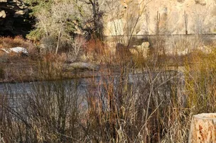 Pioneer Park Campground – photo 2