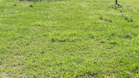 Tent Site — image 1 of 1