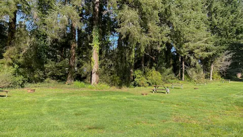 Tent Site — image 1 of 6
