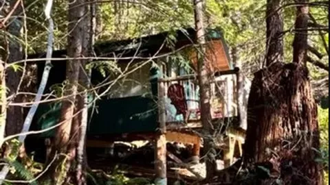 Tree House Cabin 1 — image 1 of 5