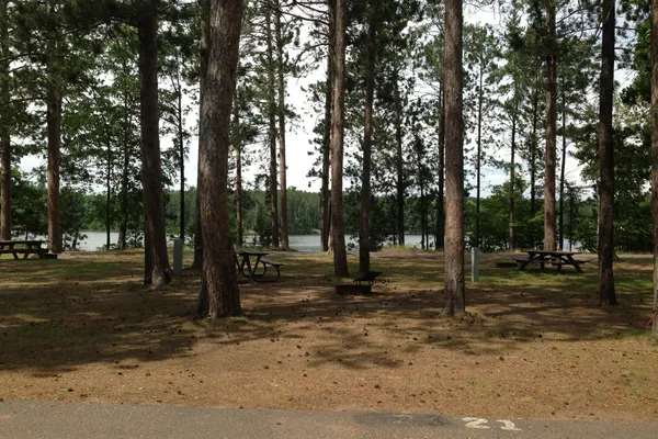 Tourist Park Campground – photo 1