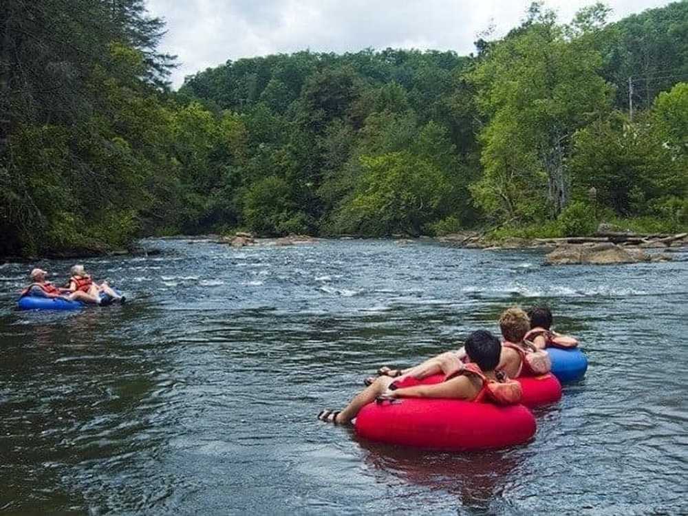 Colonial Woods Family Camping Resort - Photo 2