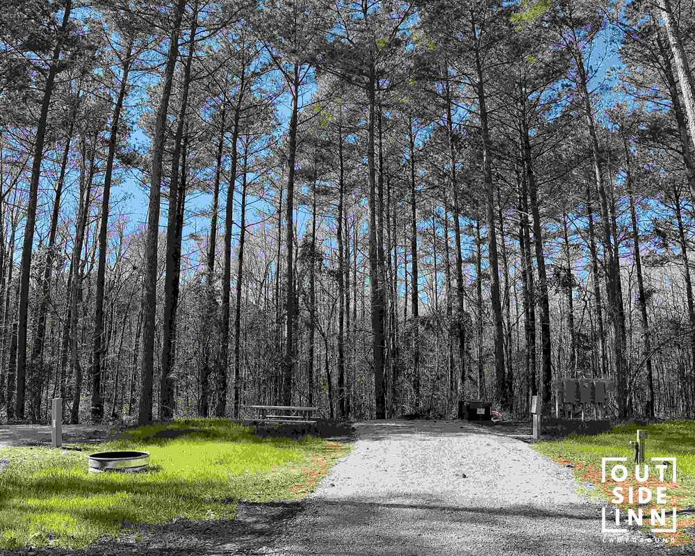 Outside Inn Campground, Santee, South Carolina - Photo 5