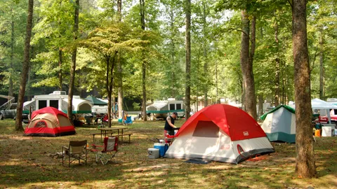 W/E Tent Site — image 1 of 1