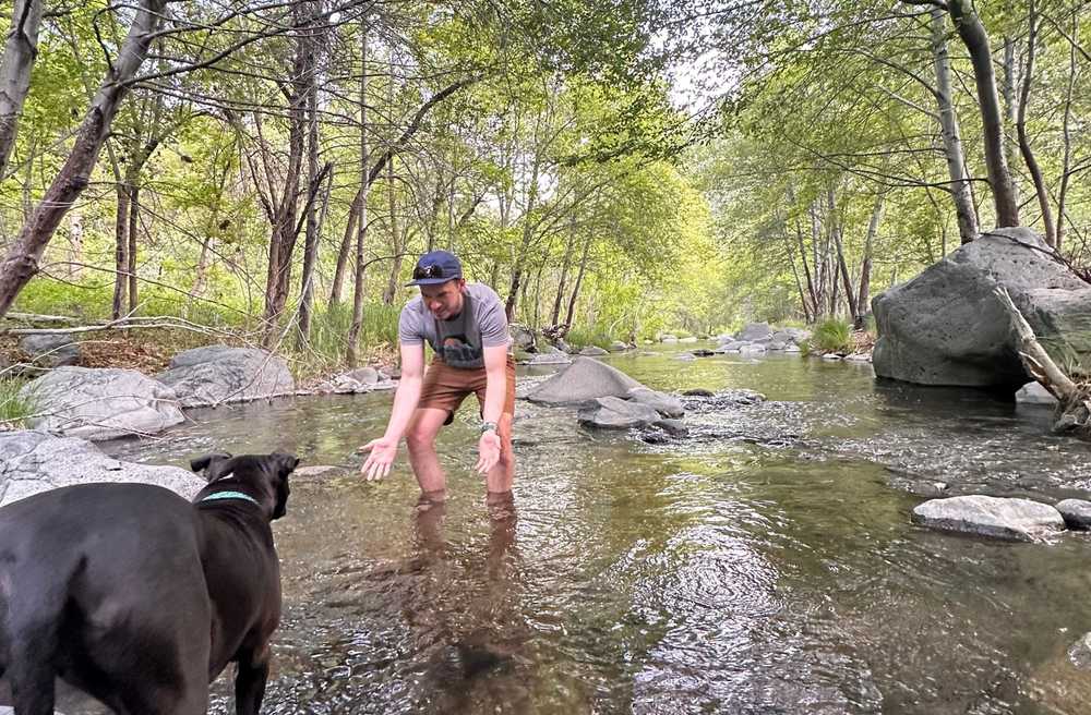 Flagstaff Mountain Campground & RV, Flagstaff, Arizona - Photo 3