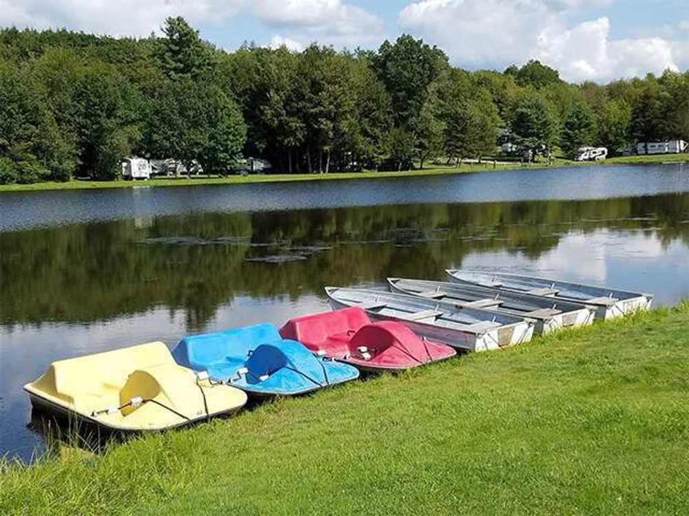 Yogi Bear's Jellystone Park™ Camp-Resort: Binghamton - Photo 4