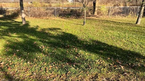 Primitive Tent Site — image 1 of 2