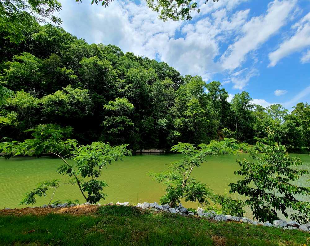 Creekside Camp, Florence, Alabama - Photo 3