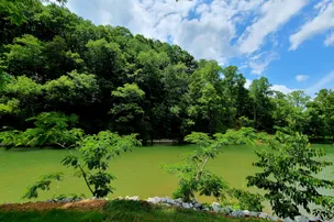 Creekside Camp – photo 3