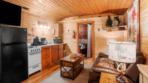 Adirondack Cabin — image 2 of 7