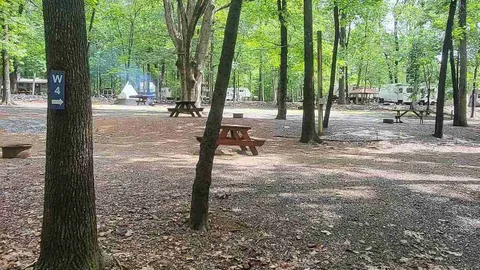 Tent Site — image 3 of 3