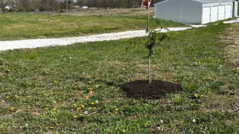 Permanent RV Site 16 — image 2 of 5