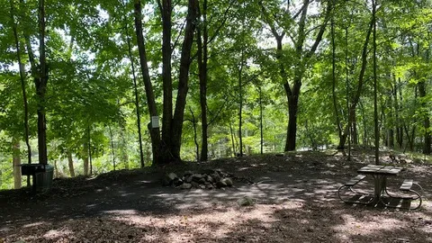 Southwest Campsite (map # 14) — image 3 of 3