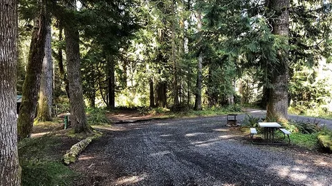 RV Site 30 Amp Pull-through W/E (One RV, One Tow/towed vehicle, four people) — image 2 of 3